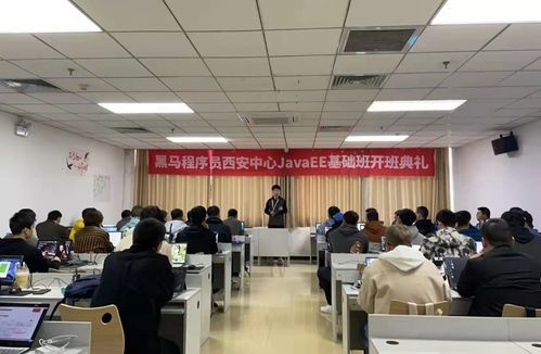 黑马程序员技术交流社区 打造高效技术咨询与学习平台